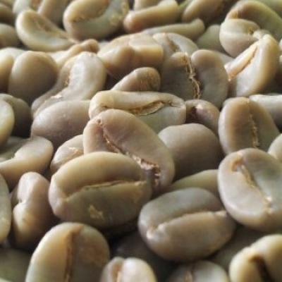 Bảng giá cà phê NHÂN XANH